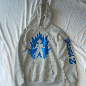 DRAGON BALLZ HOODIE